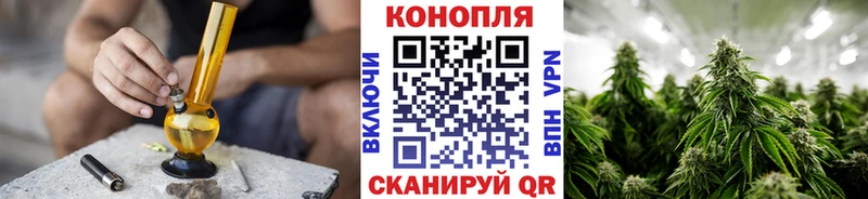 Купить  Бузулук  Конопля White Widow 